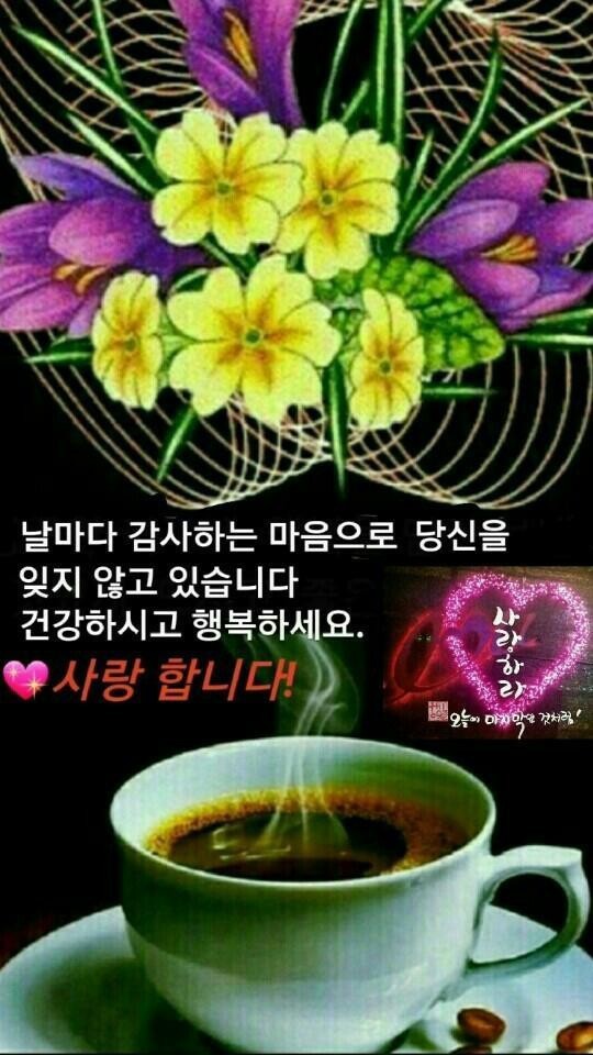행복한 하루되세요 - 좋은글게시방 - 기쁨감사행복 행복한 하루되세요