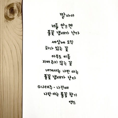 풀꽃향기 이미지