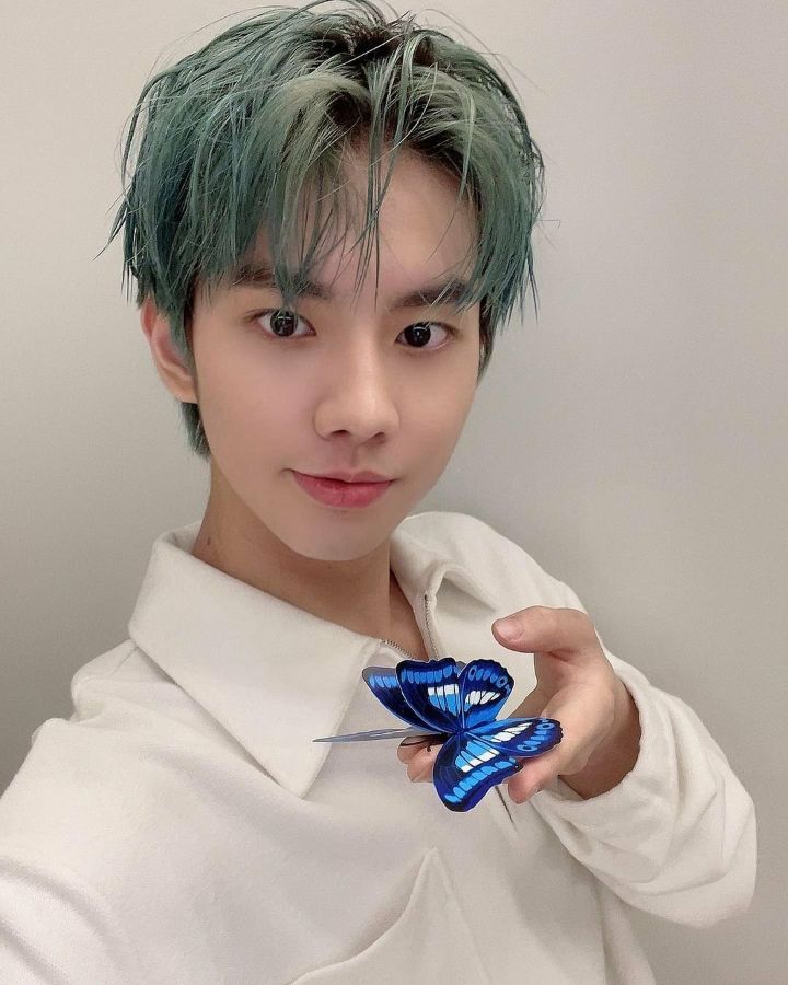더올라 이미지