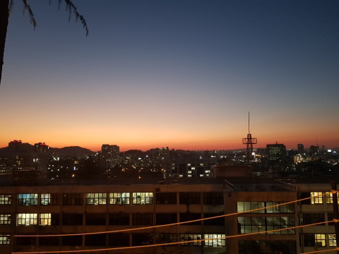 도린 이미지