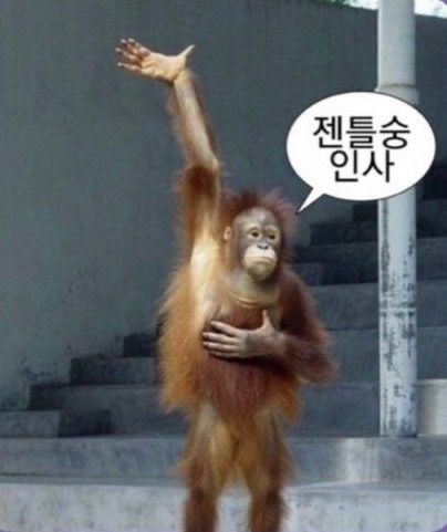와따 이미지
