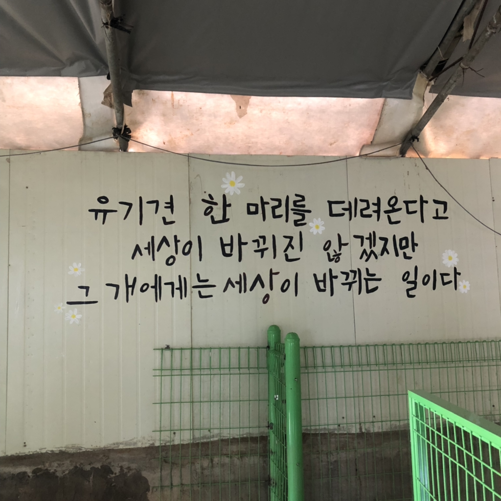 마루터 이미지