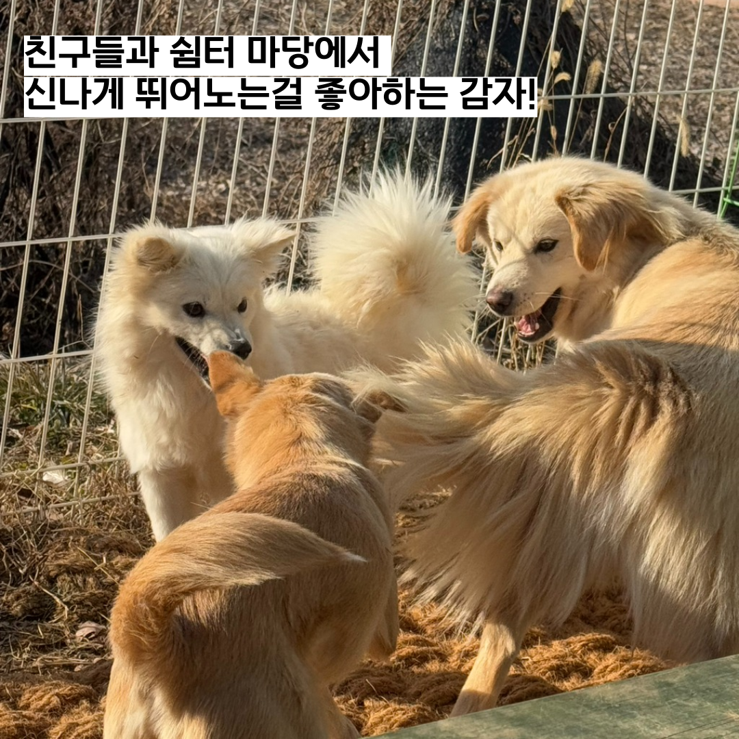 쉼터마당 이미지