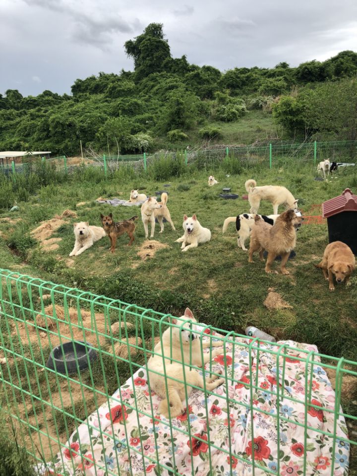 위풍당당 이미지