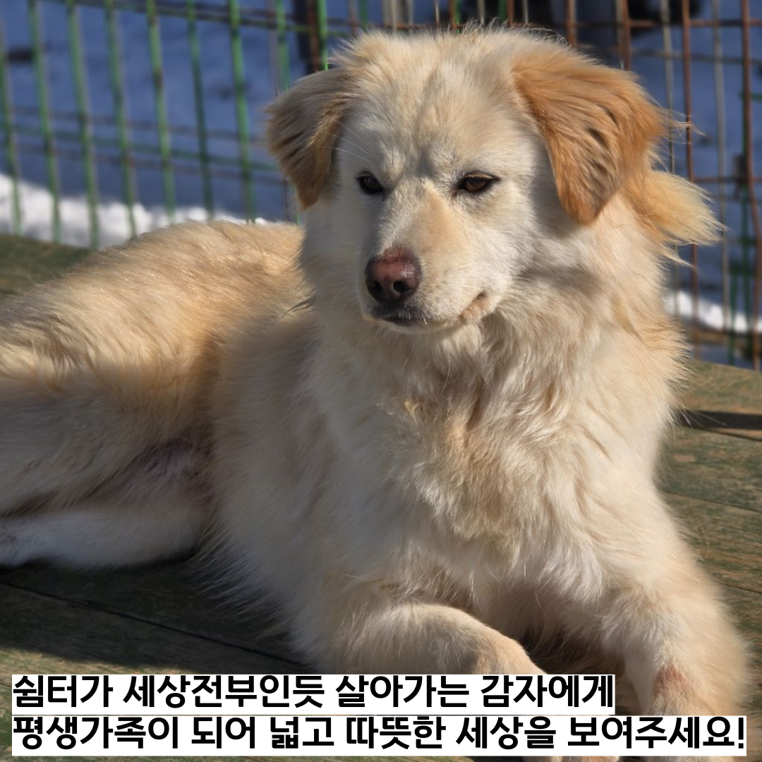 쉼터마당 이미지