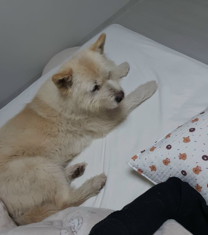빛나는오늘 이미지