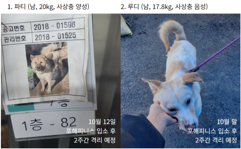 파티친구 이미지
