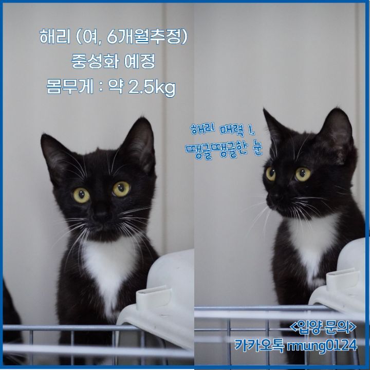 굿모닝24시 이미지