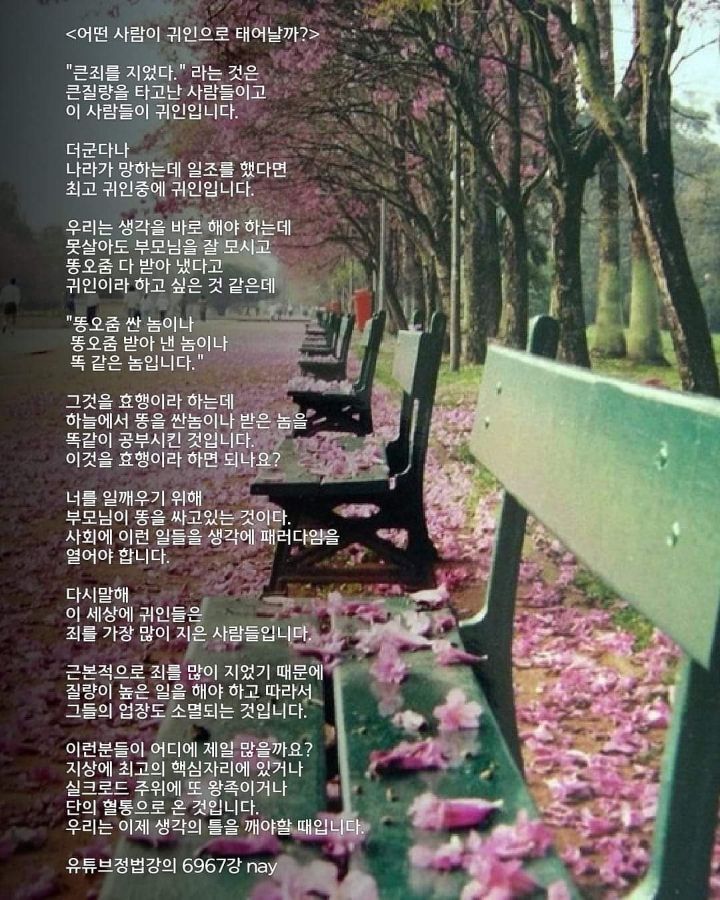 귀인 이미지