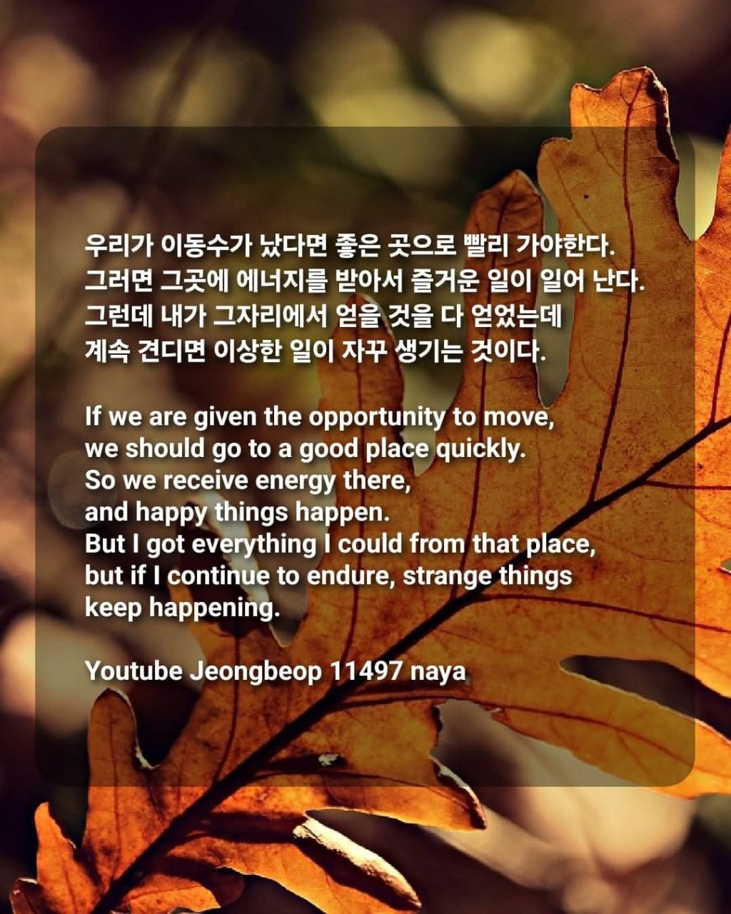 이동수 이미지