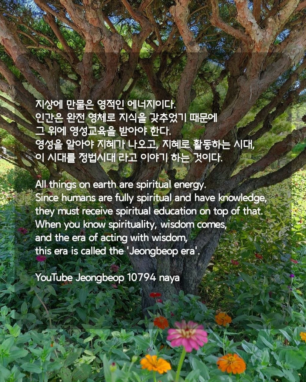 만물 이미지