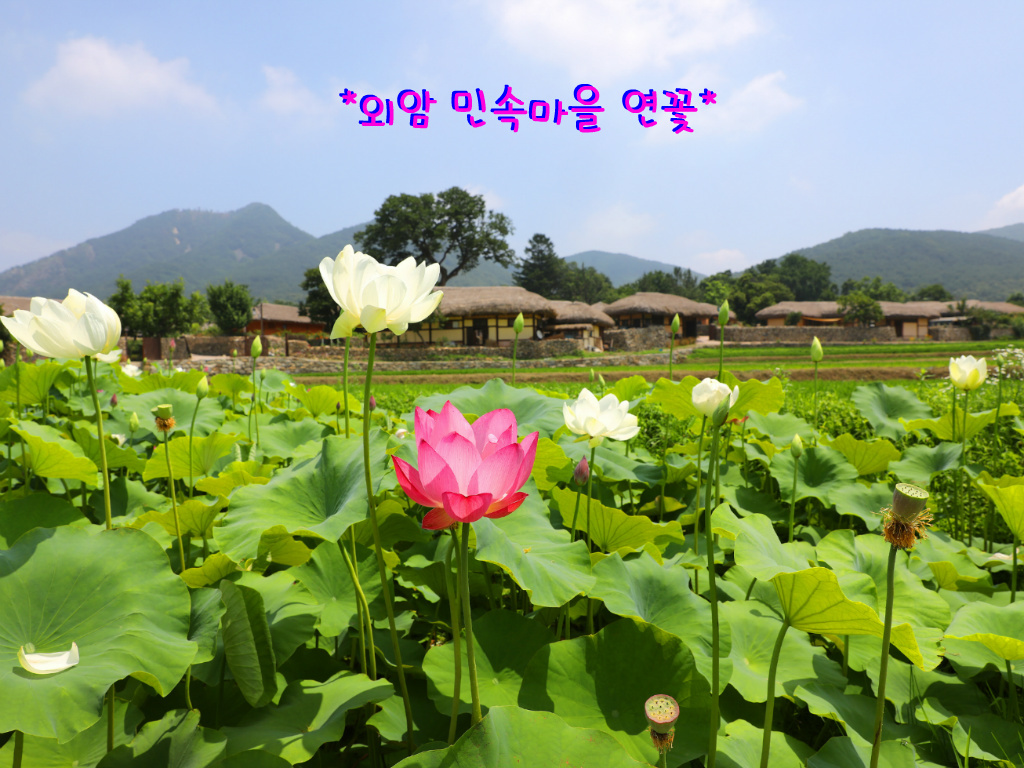생수갈비 이미지