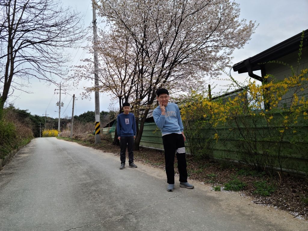다;온 이미지