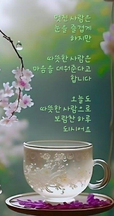 해피데이 이미지