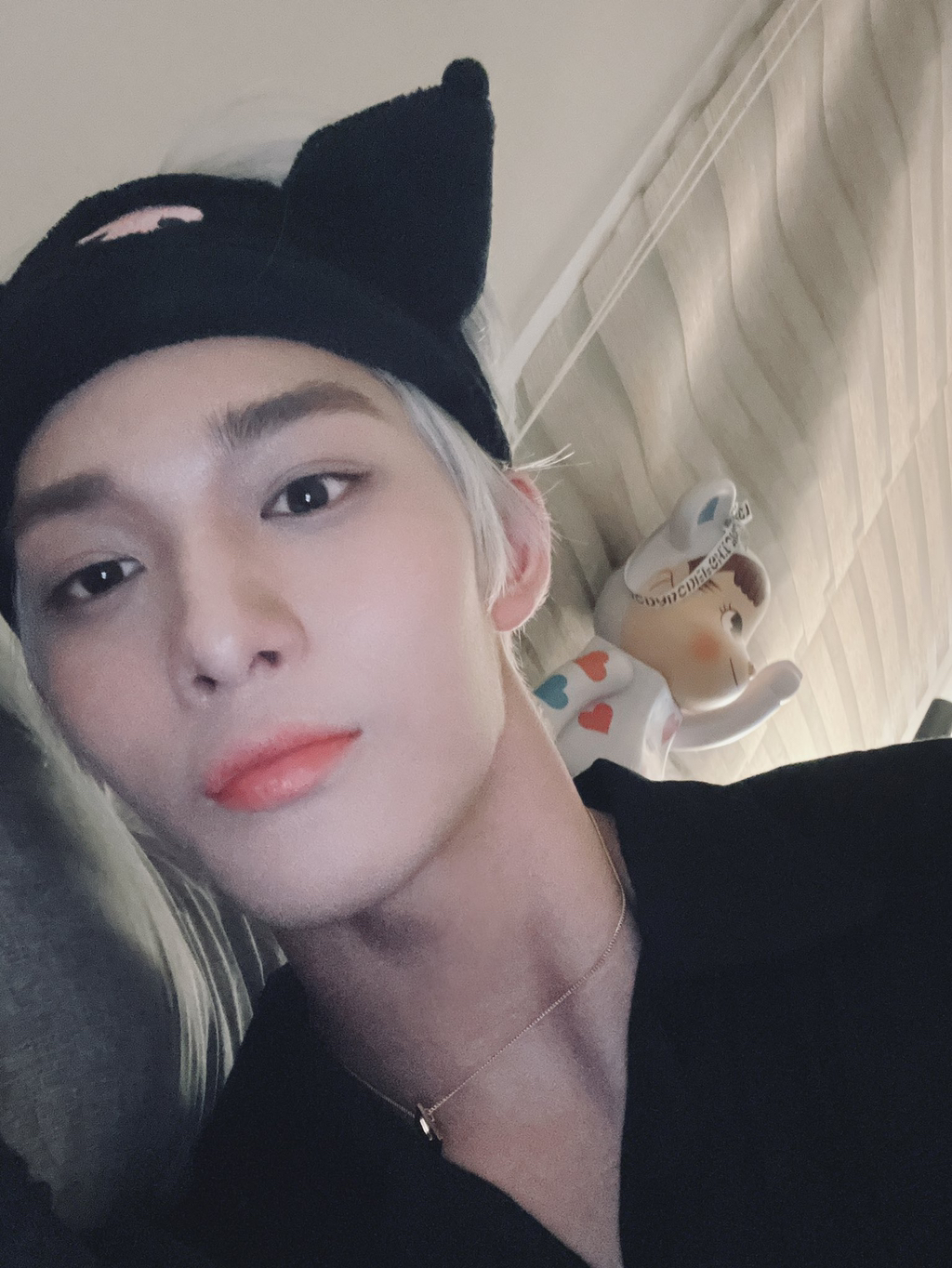 시랑 이미지