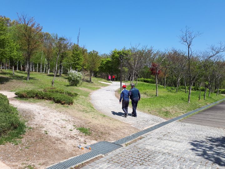 가자숲으로 이미지