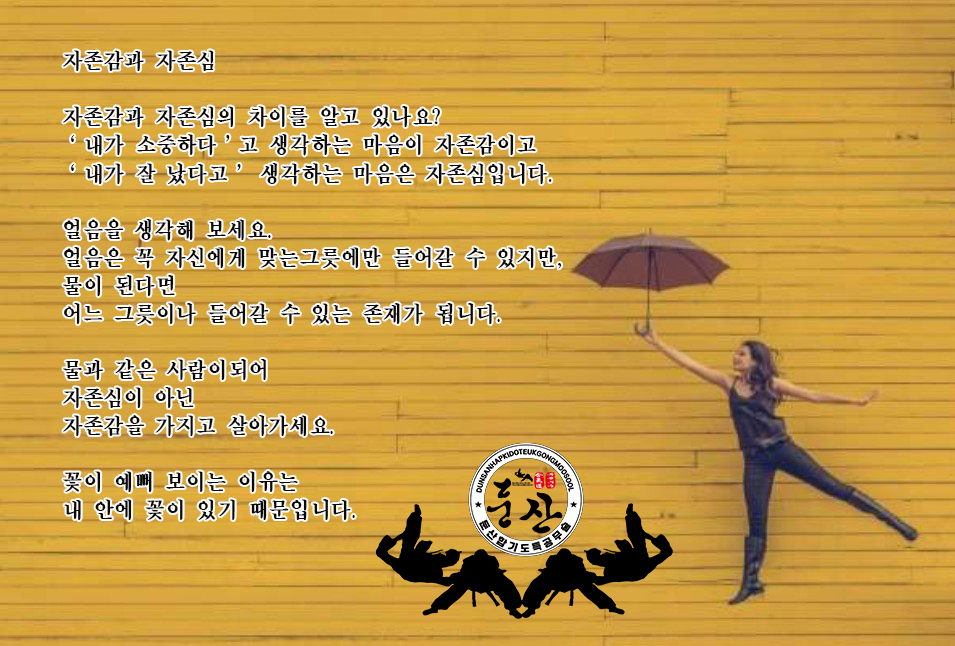 둔산스포츠 이미지