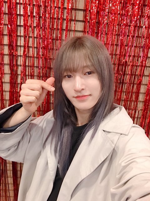 라이오 이미지