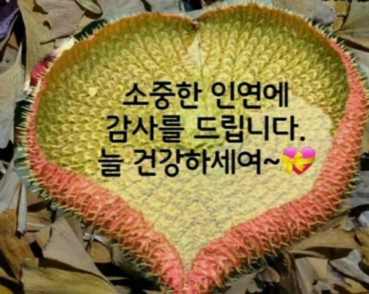 작은돌 이미지