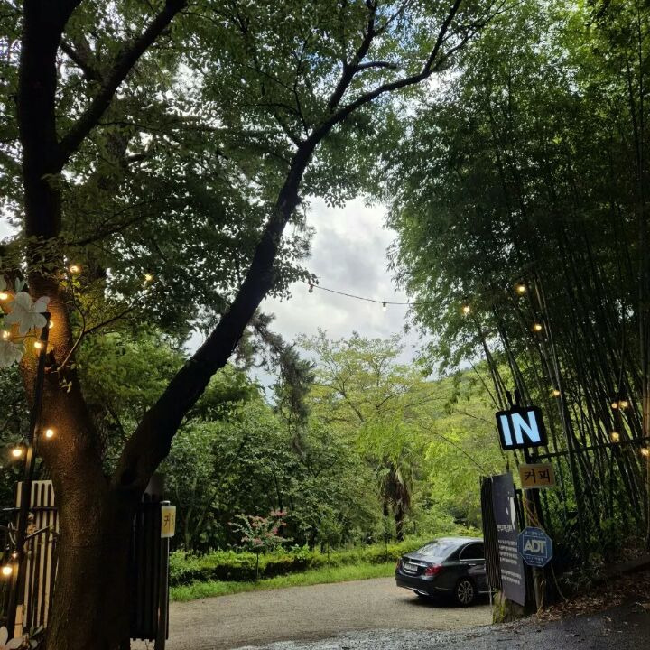 카페만덕 이미지