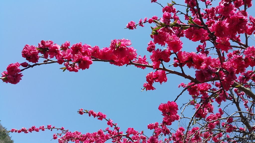 볕뉘 이미지