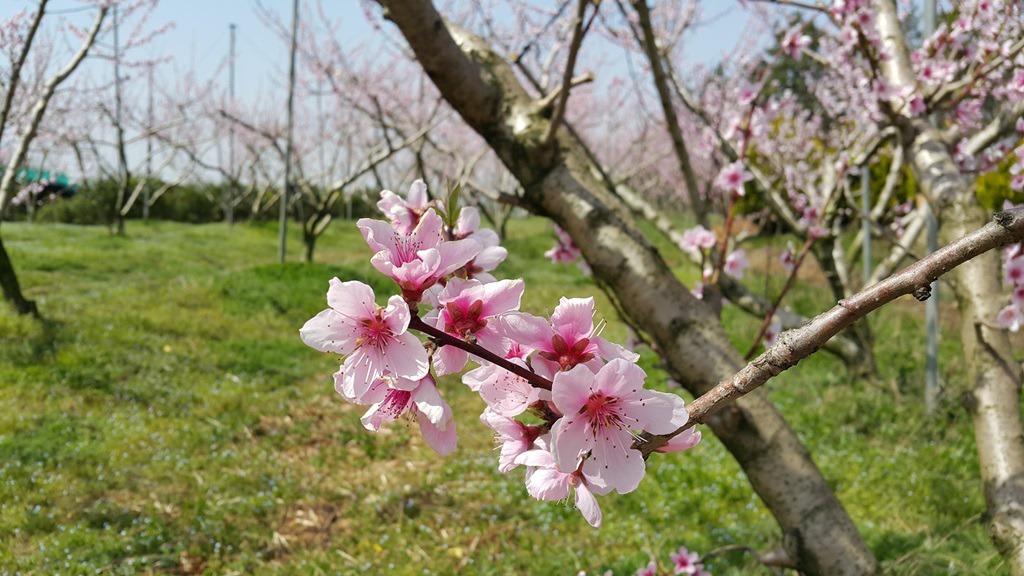 볕뉘 이미지