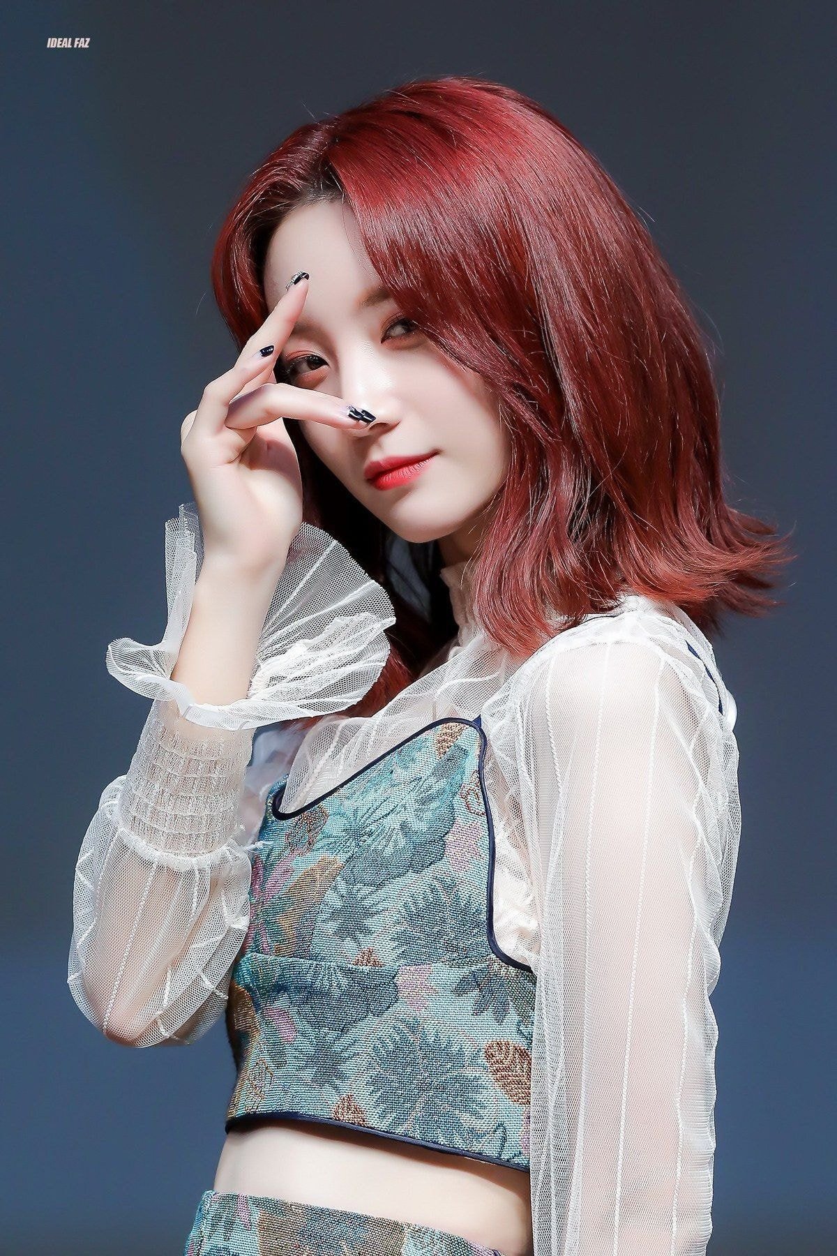 송진내가 화면밖까지 나는 세븐틴 조슈아 홈마가 찍은 오마이걸 비니 | 인스티즈