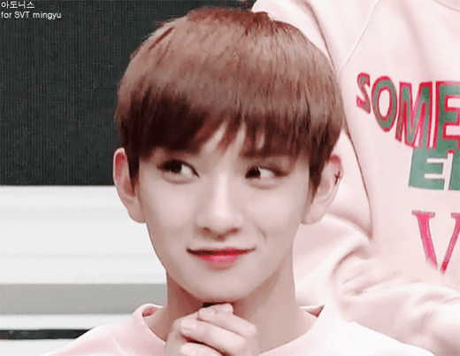 송진내가 화면밖까지 나는 세븐틴 조슈아 홈마가 찍은 오마이걸 비니 | 인스티즈