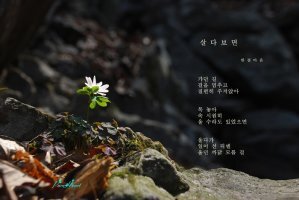 살다보면 이미지