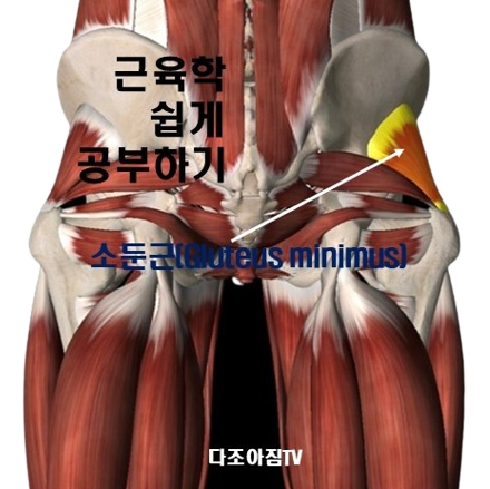 조아짐 이미지
