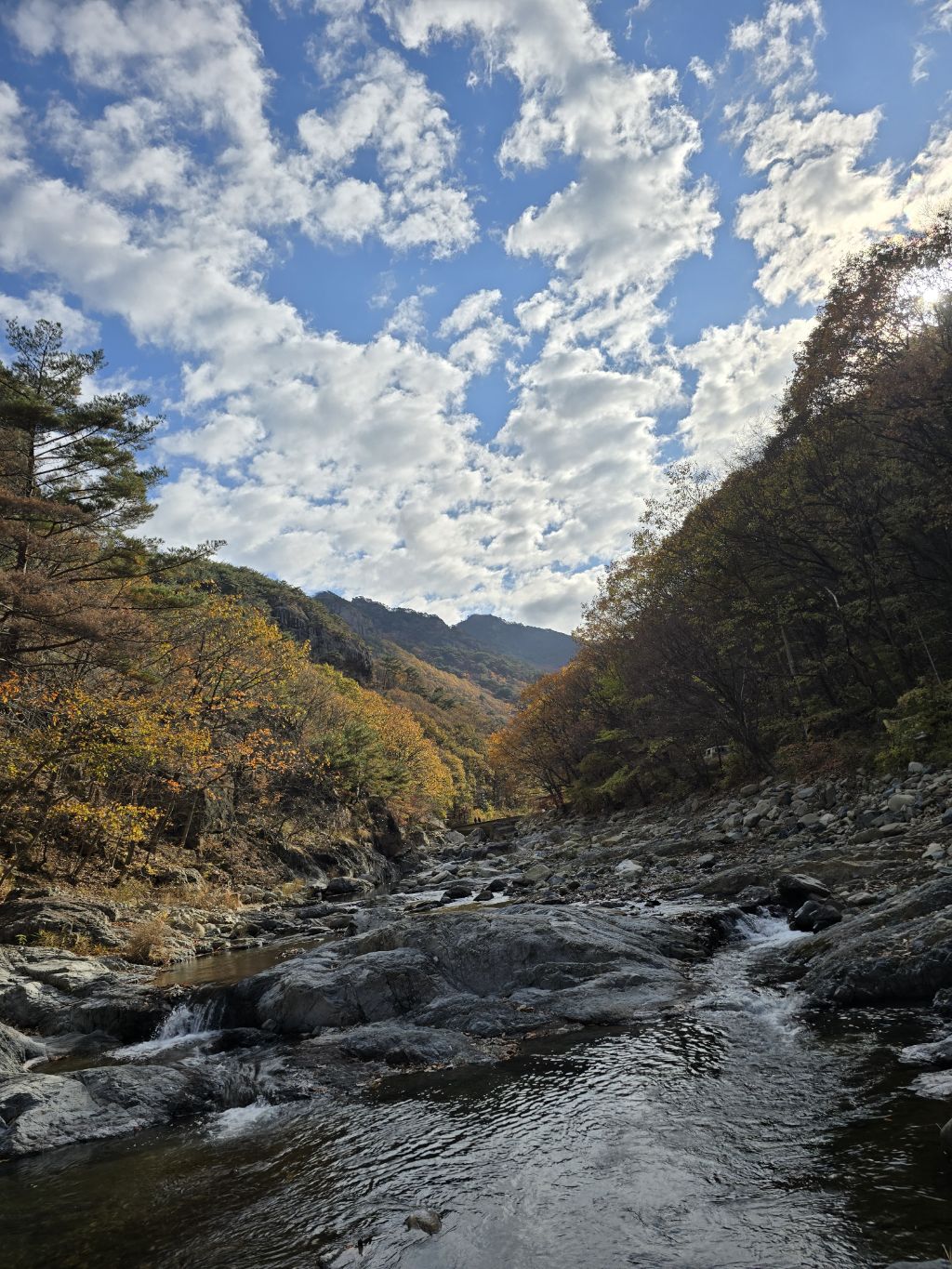 신신각 이미지