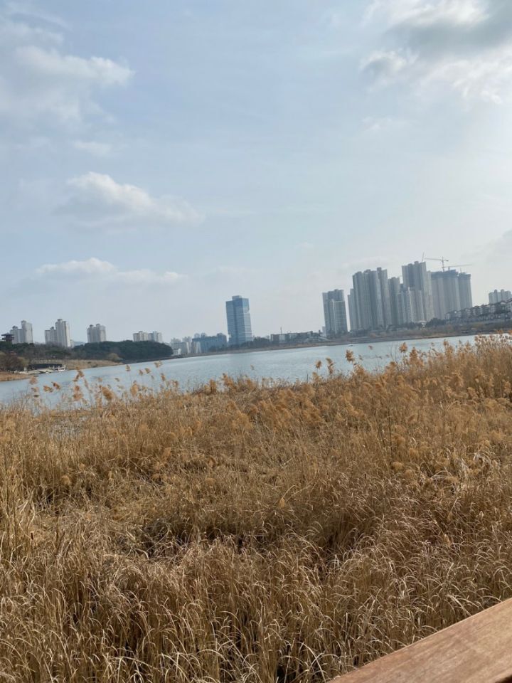 바라보다커피 이미지
