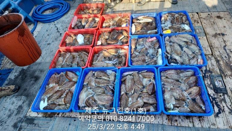뉴그린 이미지