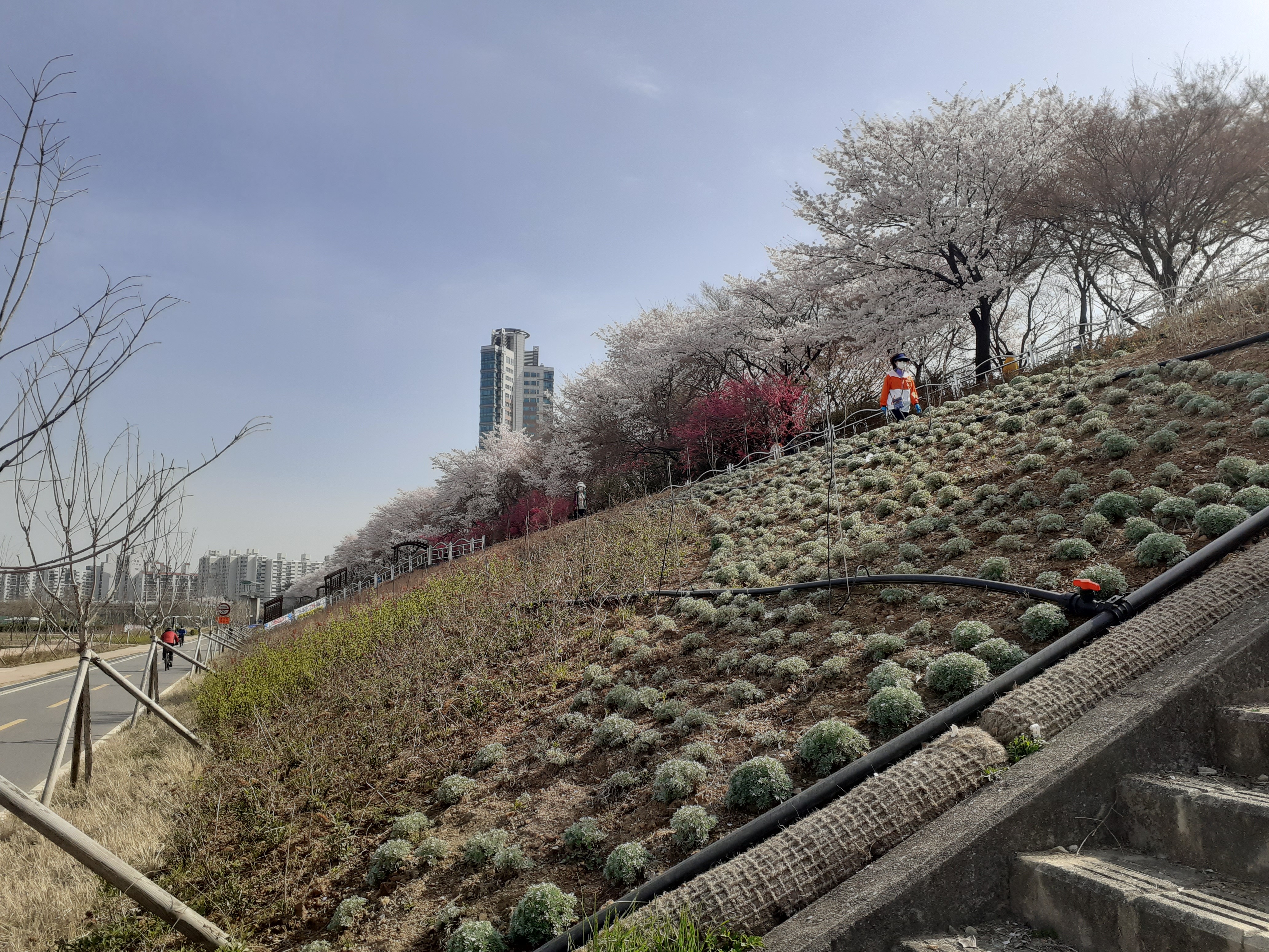 다빈치당구장 이미지