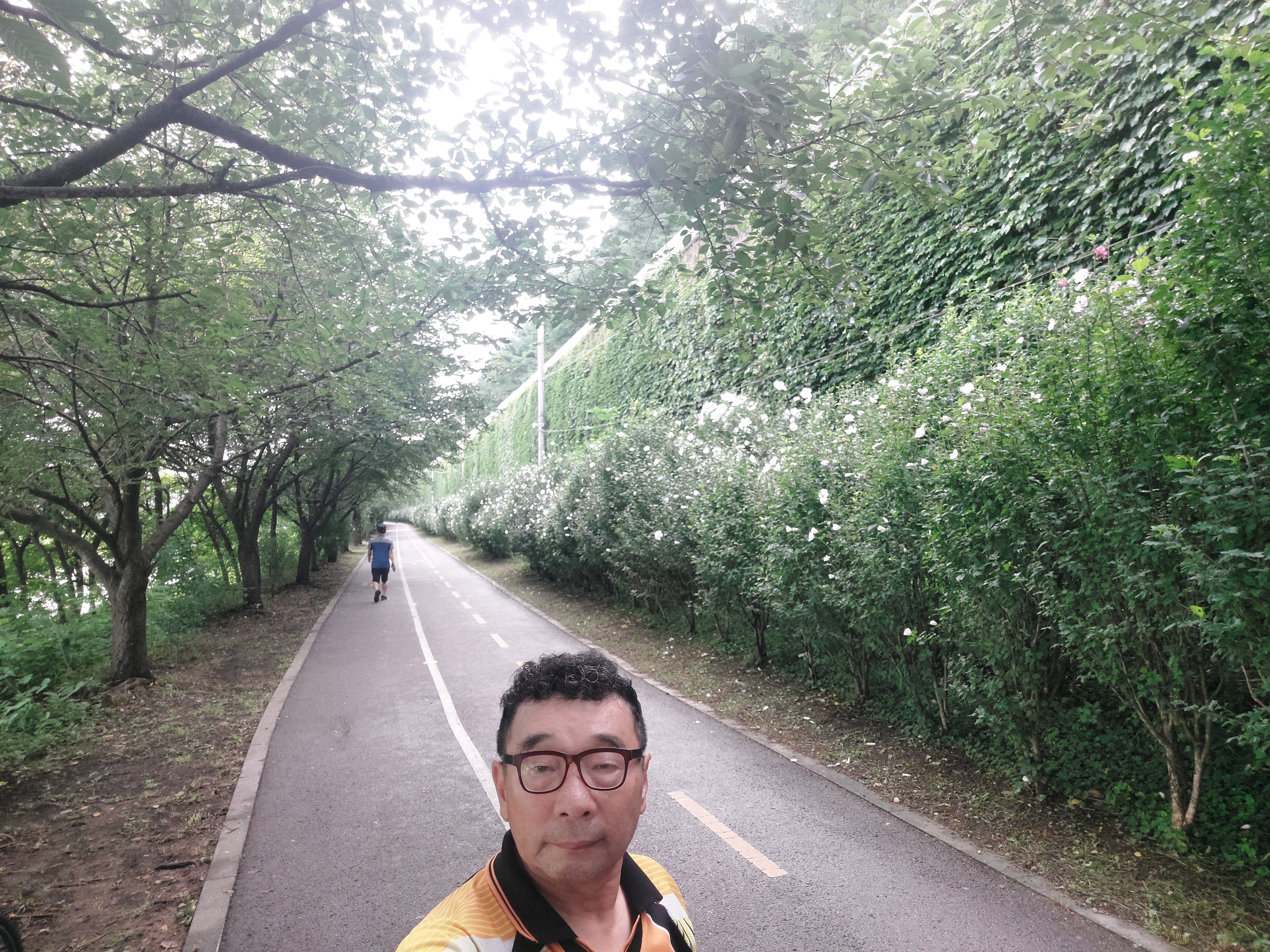 무궁화떡집 이미지