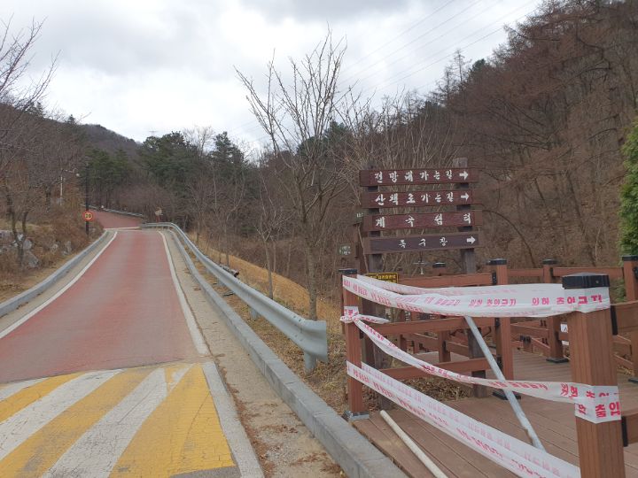 소꼽친구 이미지