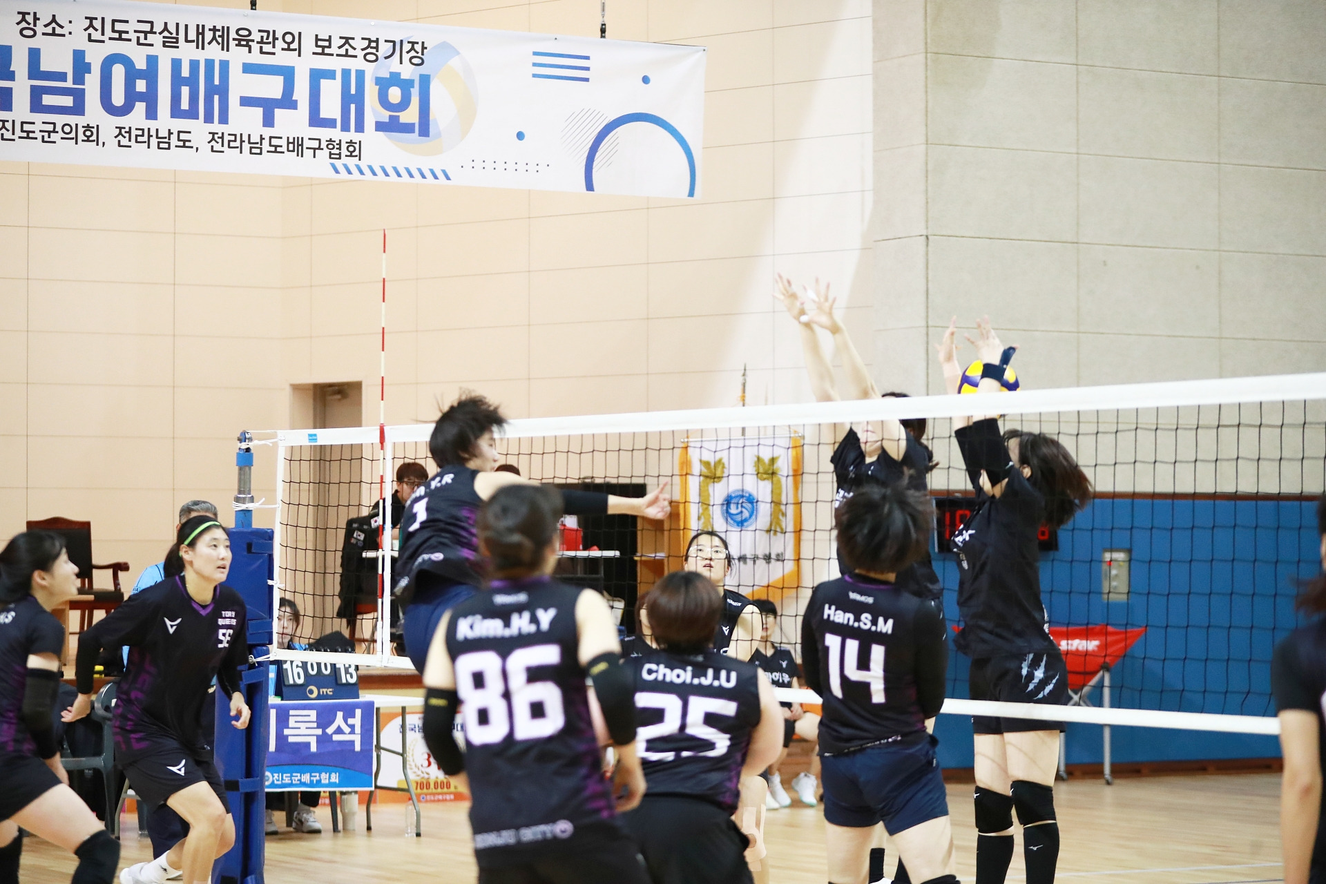 곰과여우 이미지