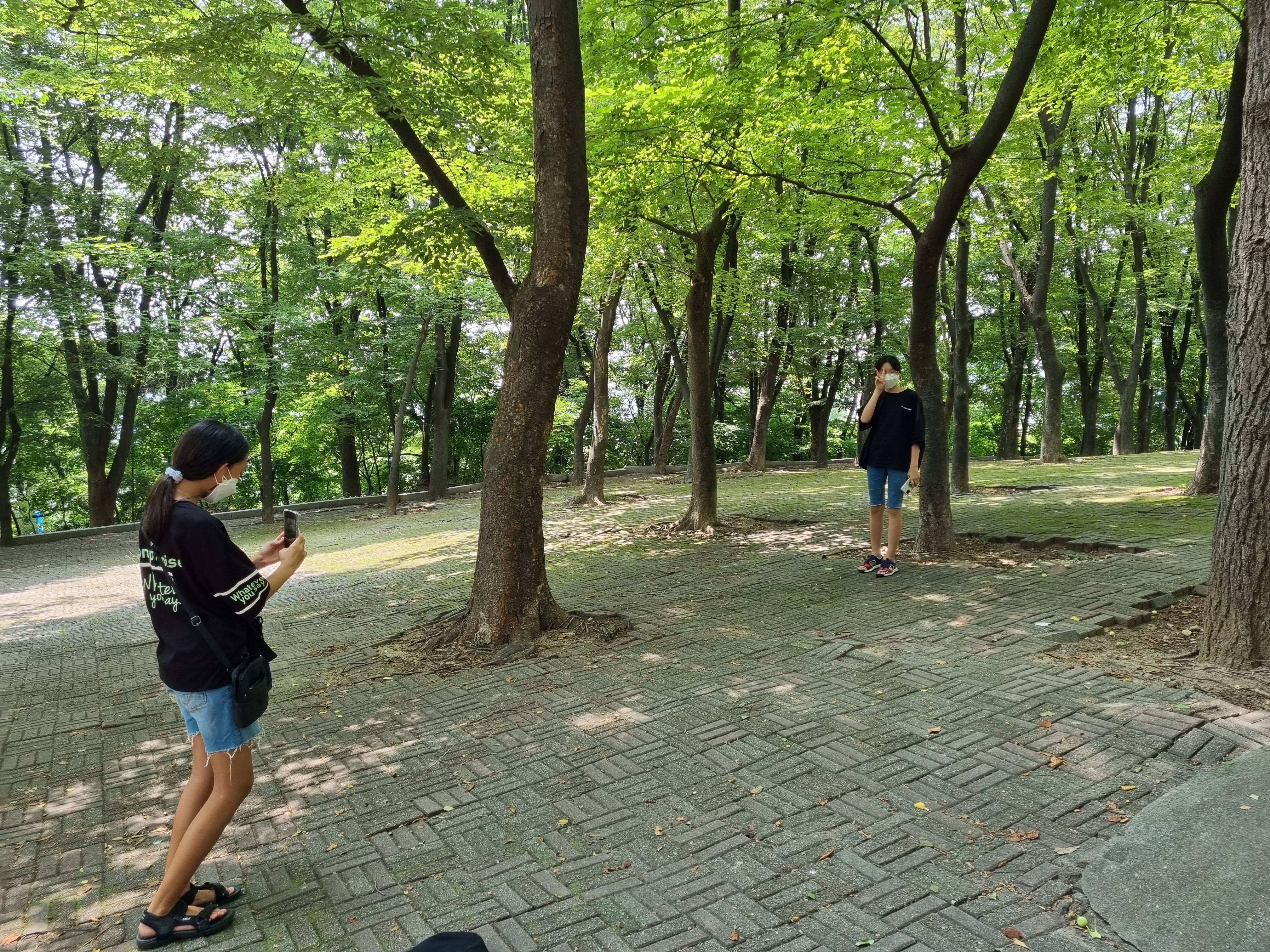 민들레여행사 이미지