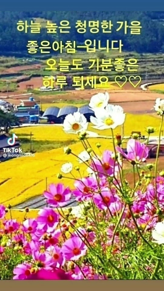 기분좋은하루 이미지