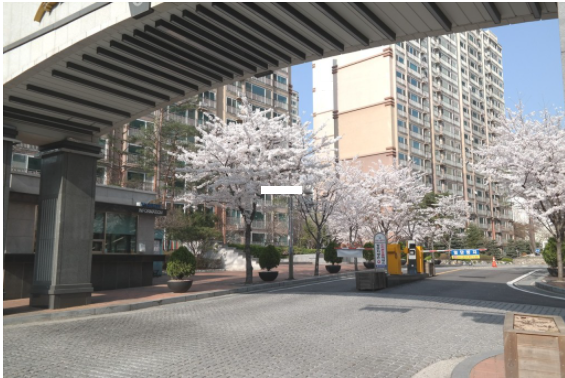 Daum카페