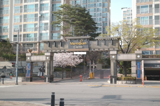 Daum카페