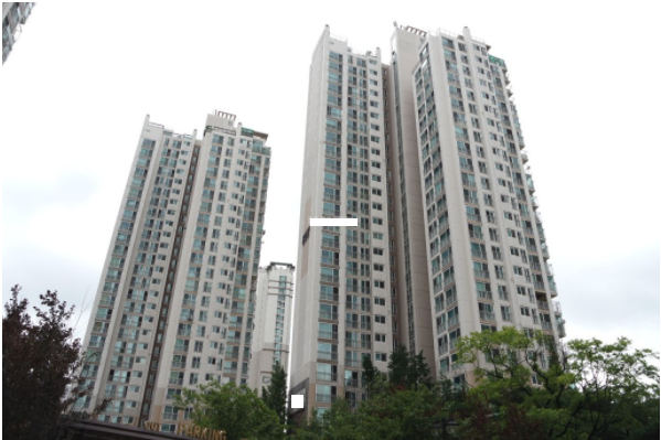 더포레스트 이미지