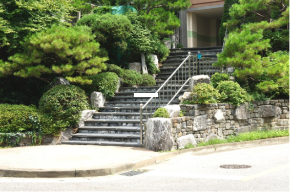 Daum카페