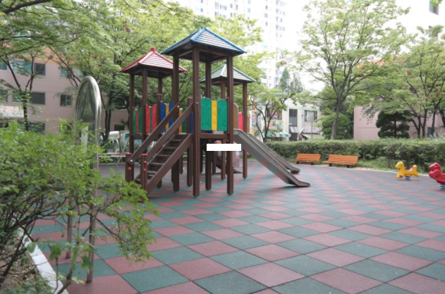 Daum카페