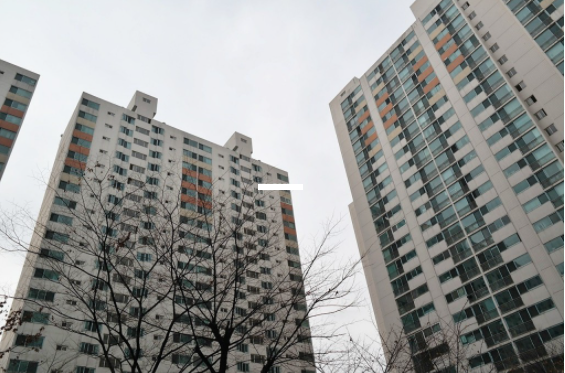 삼환 이미지