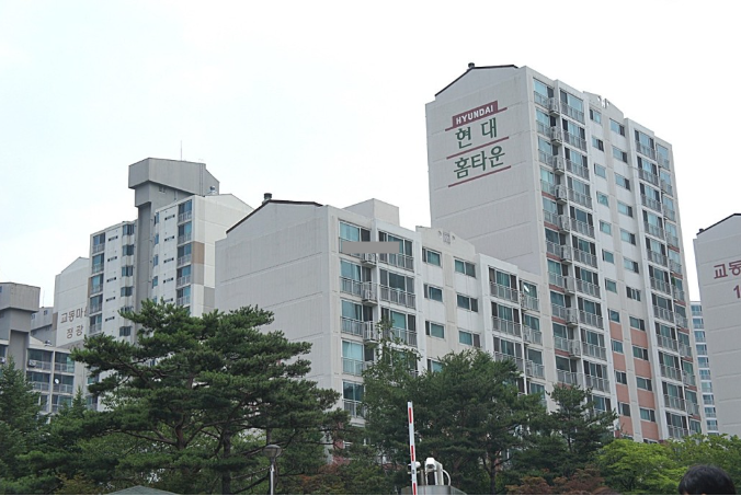 Daum카페
