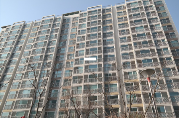 Daum카페