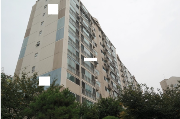 Daum카페