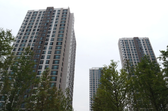 Daum카페