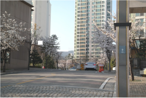 Daum카페